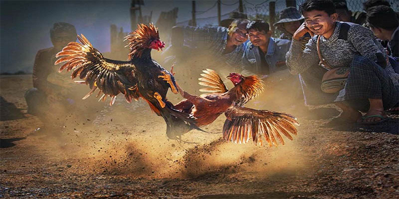 mcw67 chơi bắn cá đổi thưởng