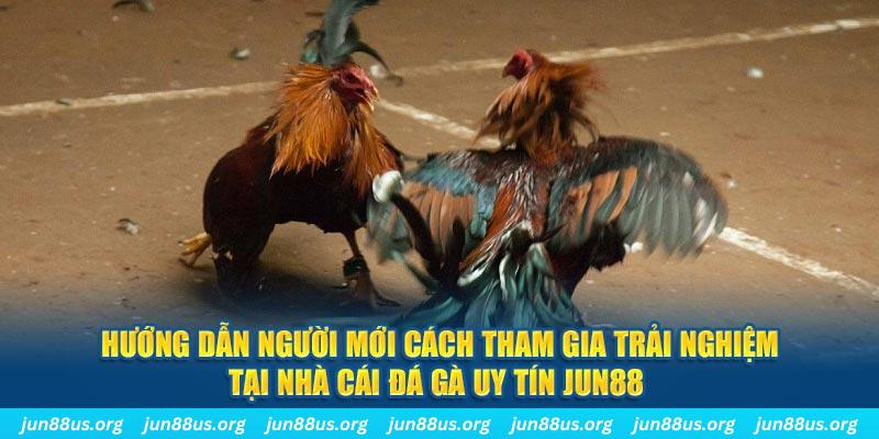 mcw67 CQ9 Điện Tử