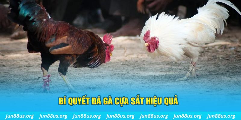mcw67 xin 1 slot là gì