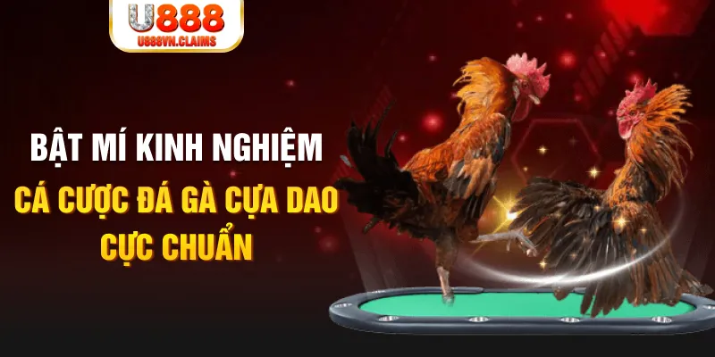 mcw67 tỷ lệ cá cược châu á là gì