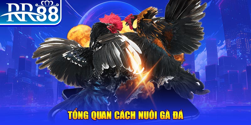 mcw67 VA Điện Tử