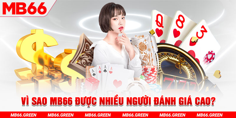 mcw67 đá gà
