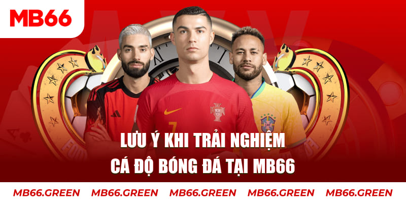 mcw67 cá cược là gì