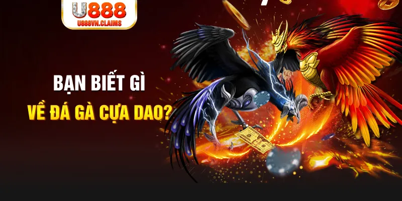 mcw67 nổ hủ là gì
