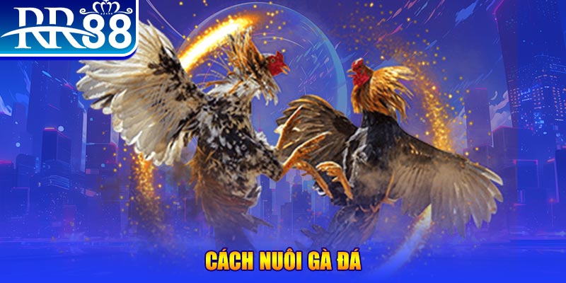 xổ số an giang