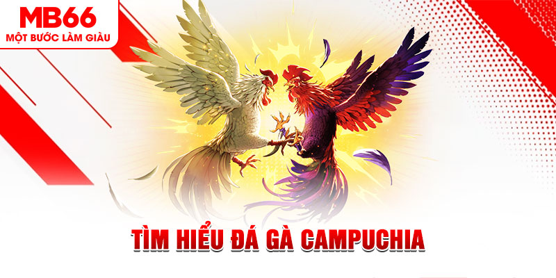 mcw67 game đánh bài trên máy tính
