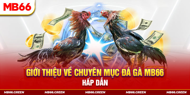 mcw67 đăng nhập sòng bạc đổi thưởng