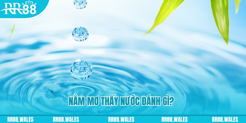 mcw67 TP Bắn cá