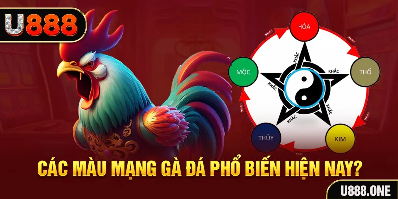 mcw67 trực tiếp đá gà 88