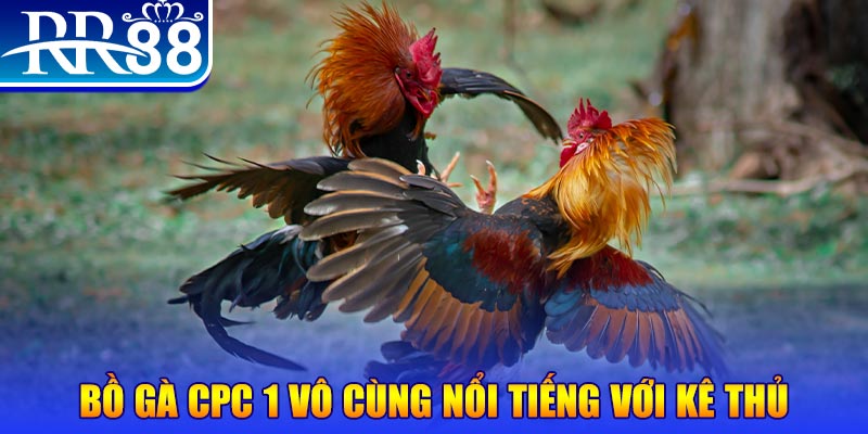 mcw67 game máy bay nổ hũ