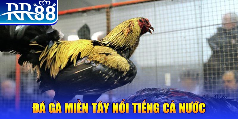 mcw67 JILI Game Bài 3d