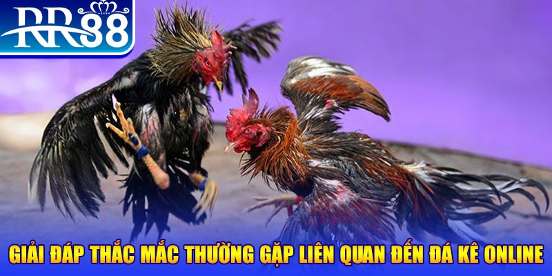 mcw67 xổ số đà lạt