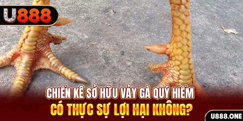 mcw67 nohu .mx nổ hủ là gì