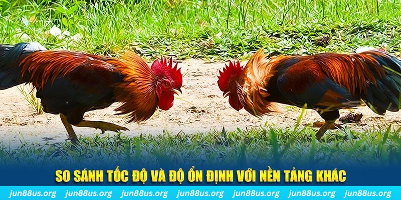 mcw67 đá gà hôm nay