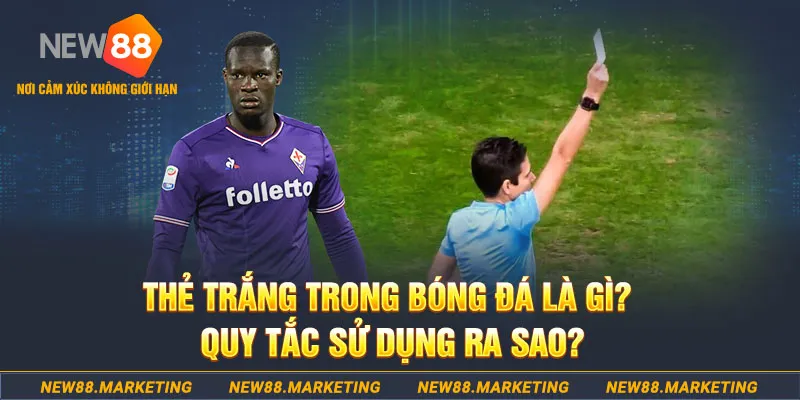mcw67 gà chọi mộc hóa