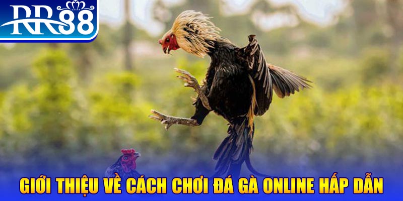 mcw67 game nổ hũ rút tiền mặt là gì