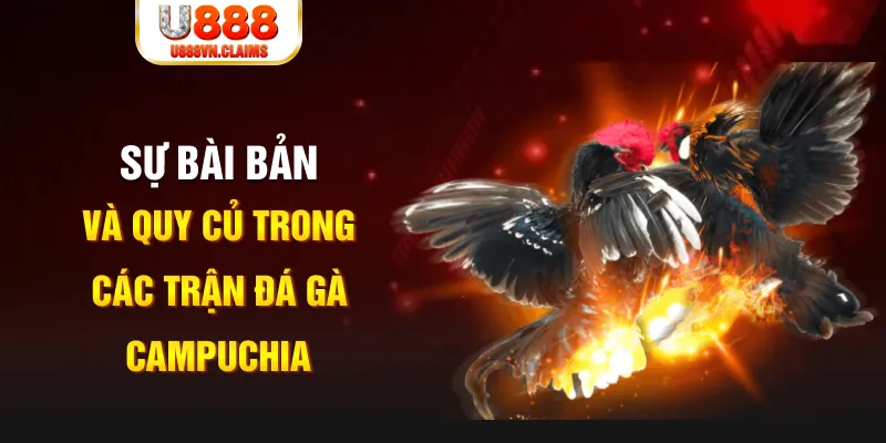 mcw67 YGR Điện Tử