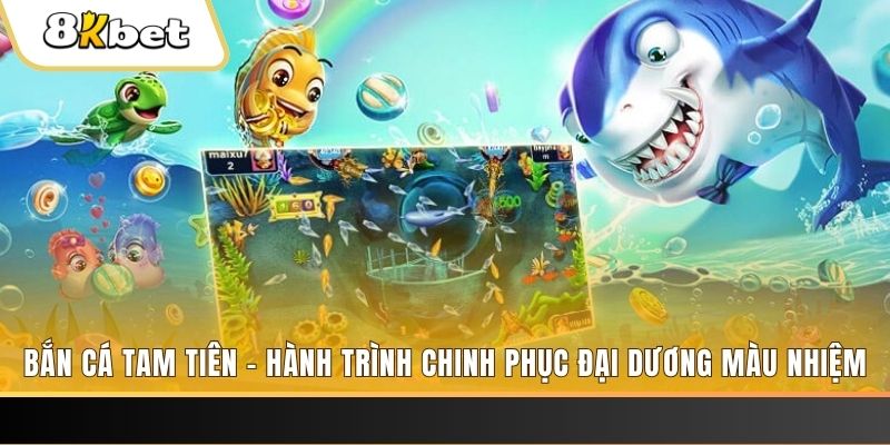 mcw67 xổ số bình định