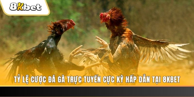 mcw67 đăng nhập phỏm trực tiếp