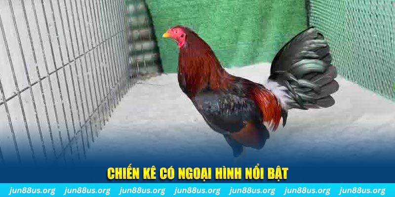 mcw67 chạy quảng cáo cho game bài bị phạt như thế nào