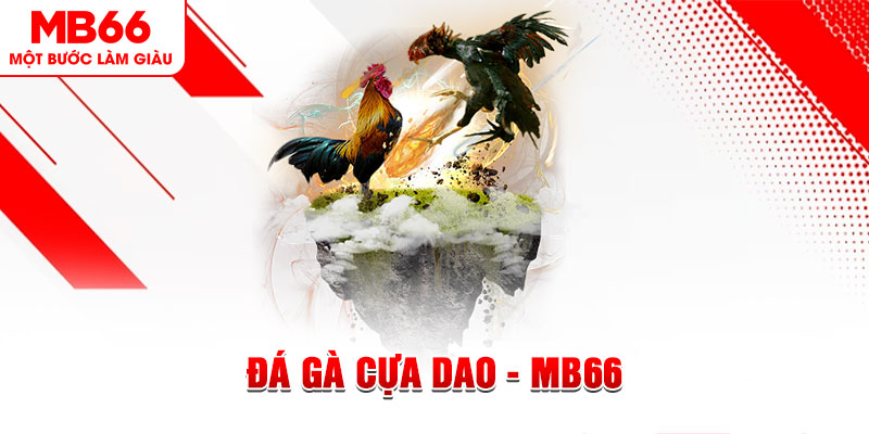 mcw67 đá gà sv388 gold